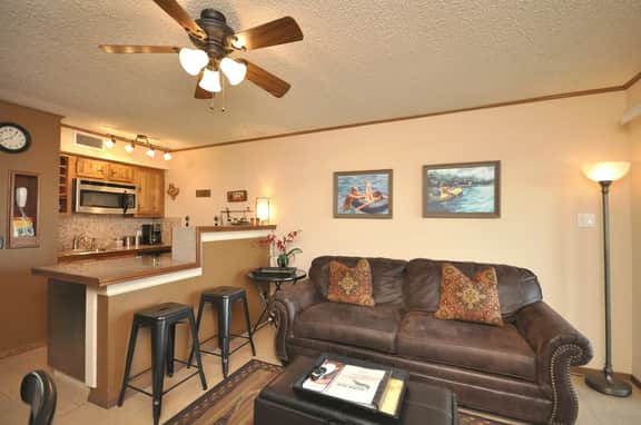 308A - Float Away at River Run Resort-Near Schlitterbahn - Image 3